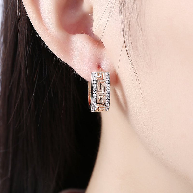WSKFLY 14K Gold Plated Double Row of Diamonds Huggie Earrings for Women Cubic Zirconia hoop Earrings - Image 3